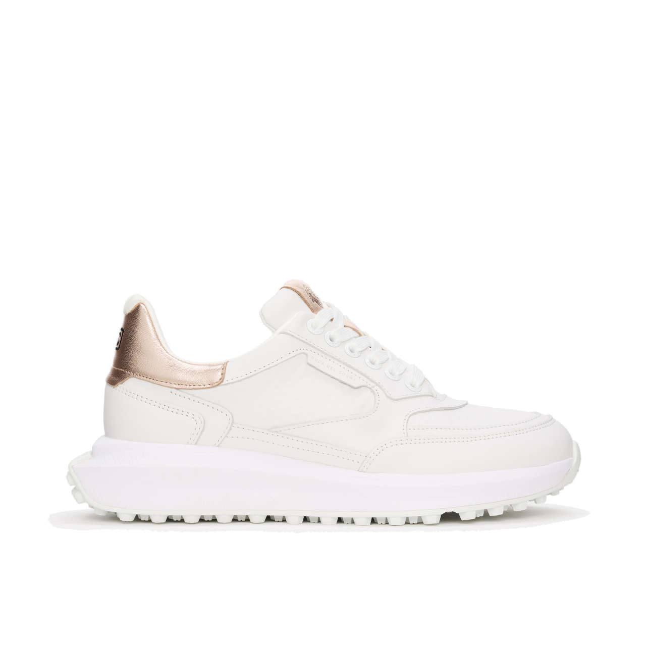 DCG240091 Olivera 2 White Rose